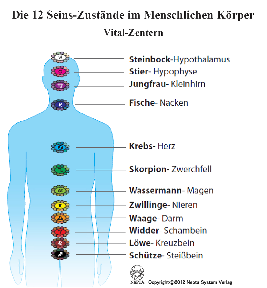 12 states of Beeing